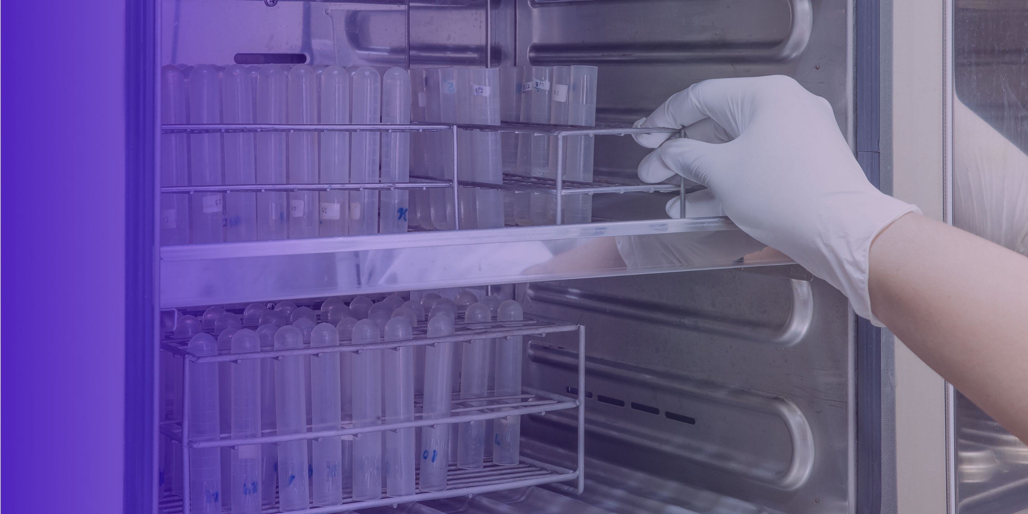 Main gantée manipulant des tubes dans un incubateur de laboratoire métallique.