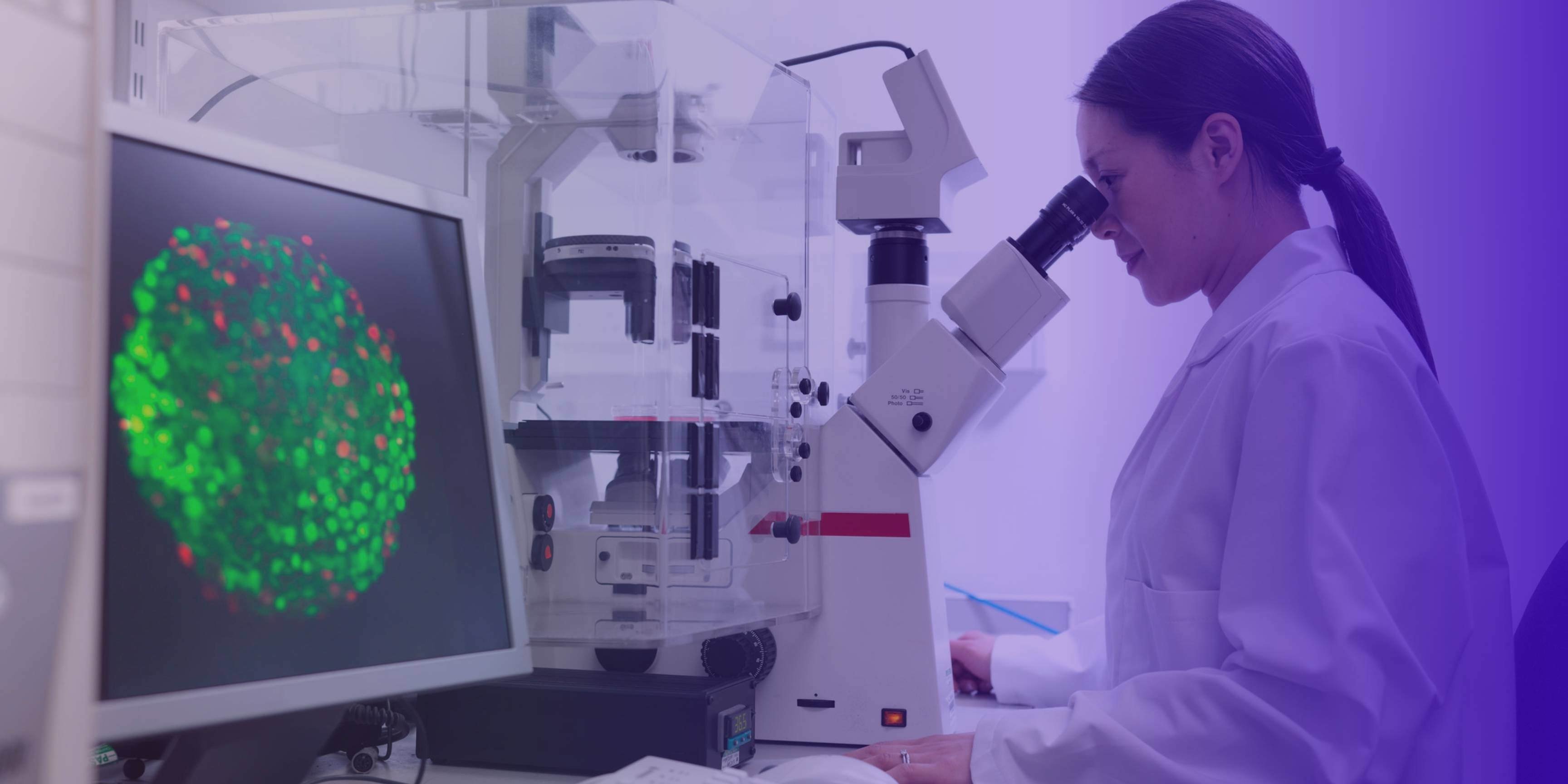 Researcher analyzing cells through a microscope, with fluorescent image on the screen.