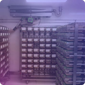 Animal facility with ventilated cages for care and monitoring of animals in biomedical research.